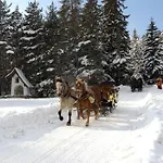 Krosbacher Hof سيفيلد ان تيرول